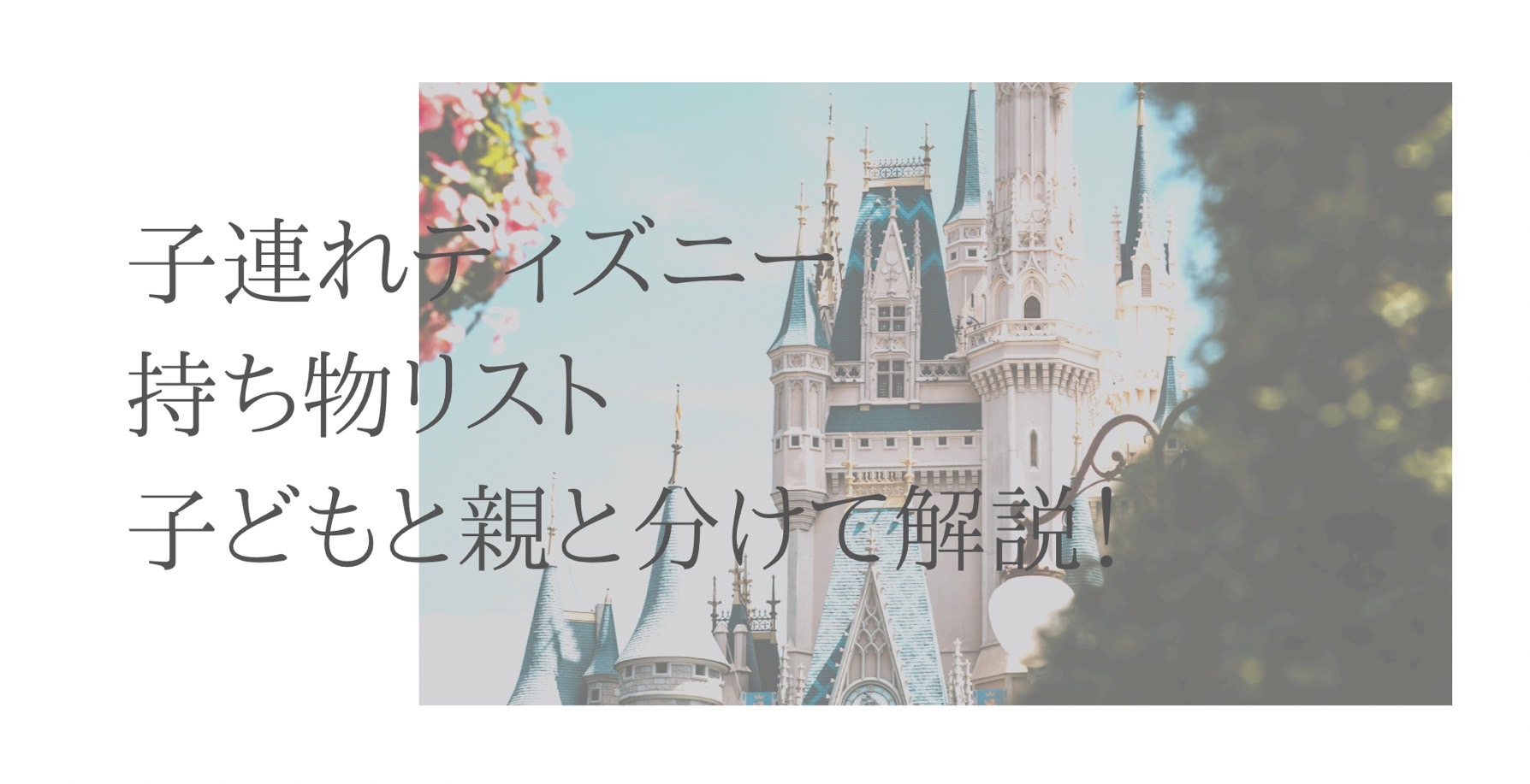 子連れディズニー 必見 1歳児と1泊2日の持ち物リスト 子と親と分けて解説 Tamacoのブログ